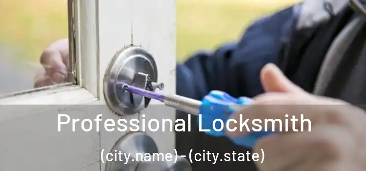 Professional Locksmith (city.name) - (city.state)