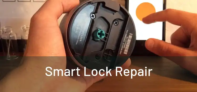 Smart Lock Repair